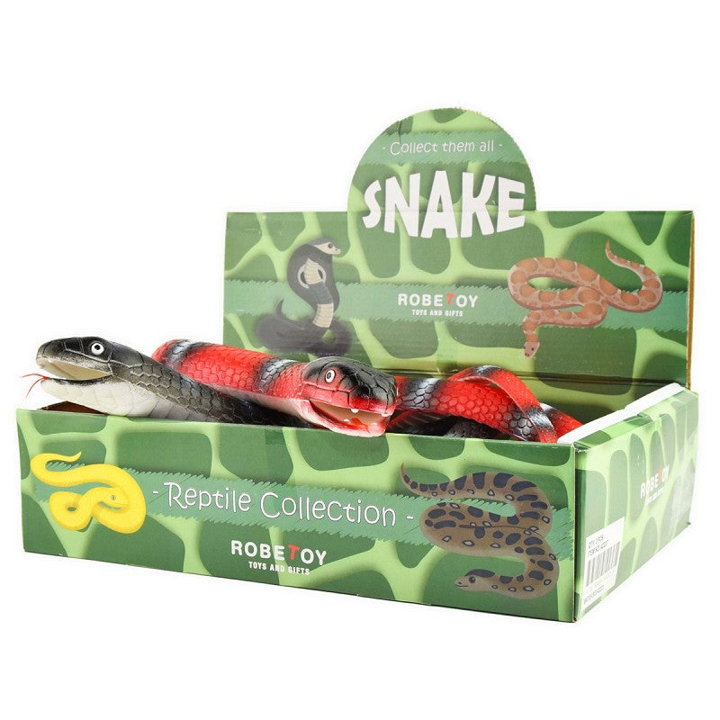 snake reptile collection