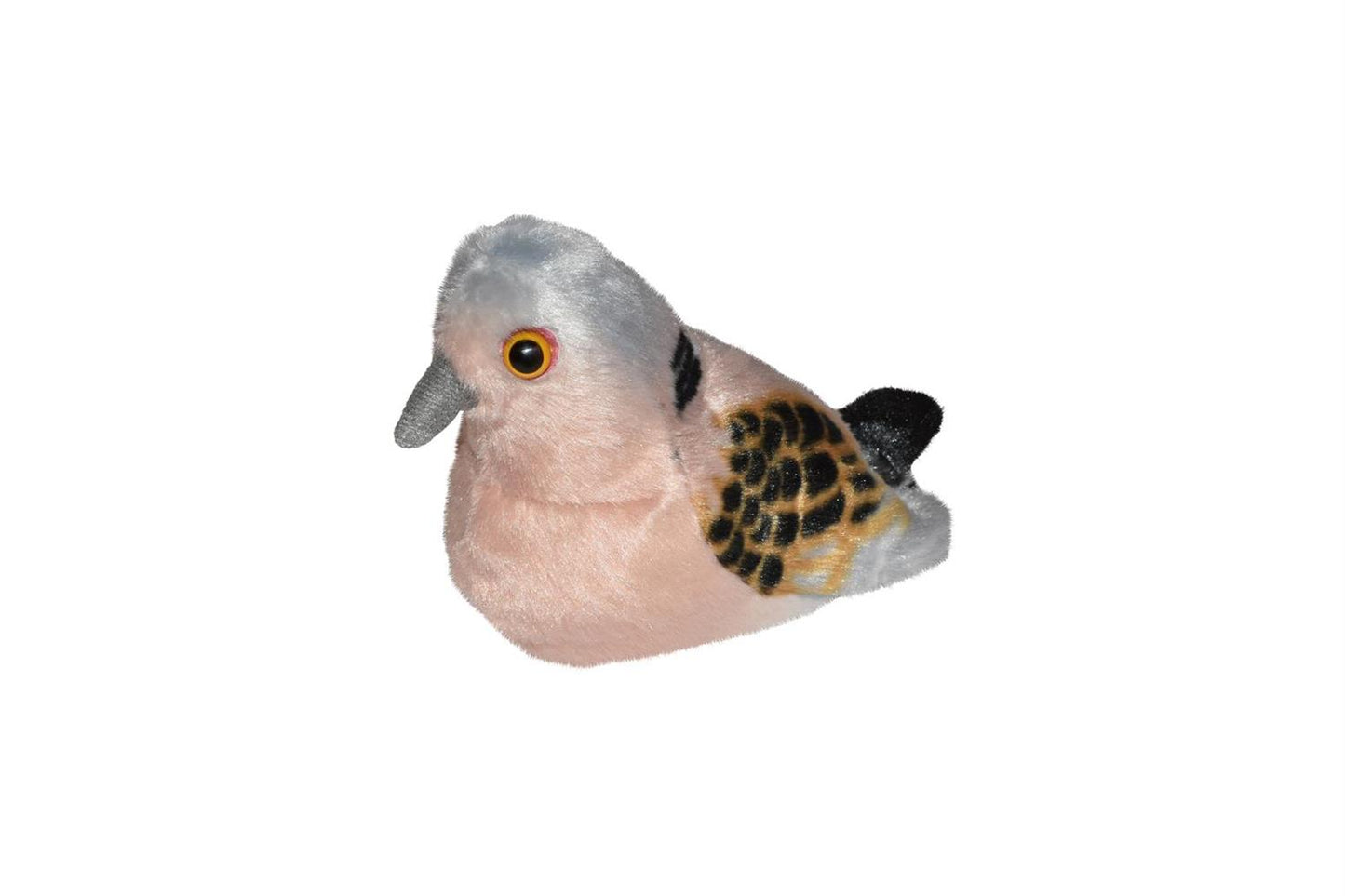 WR fugl Turtle Dove