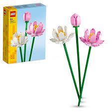 Lotusblomster