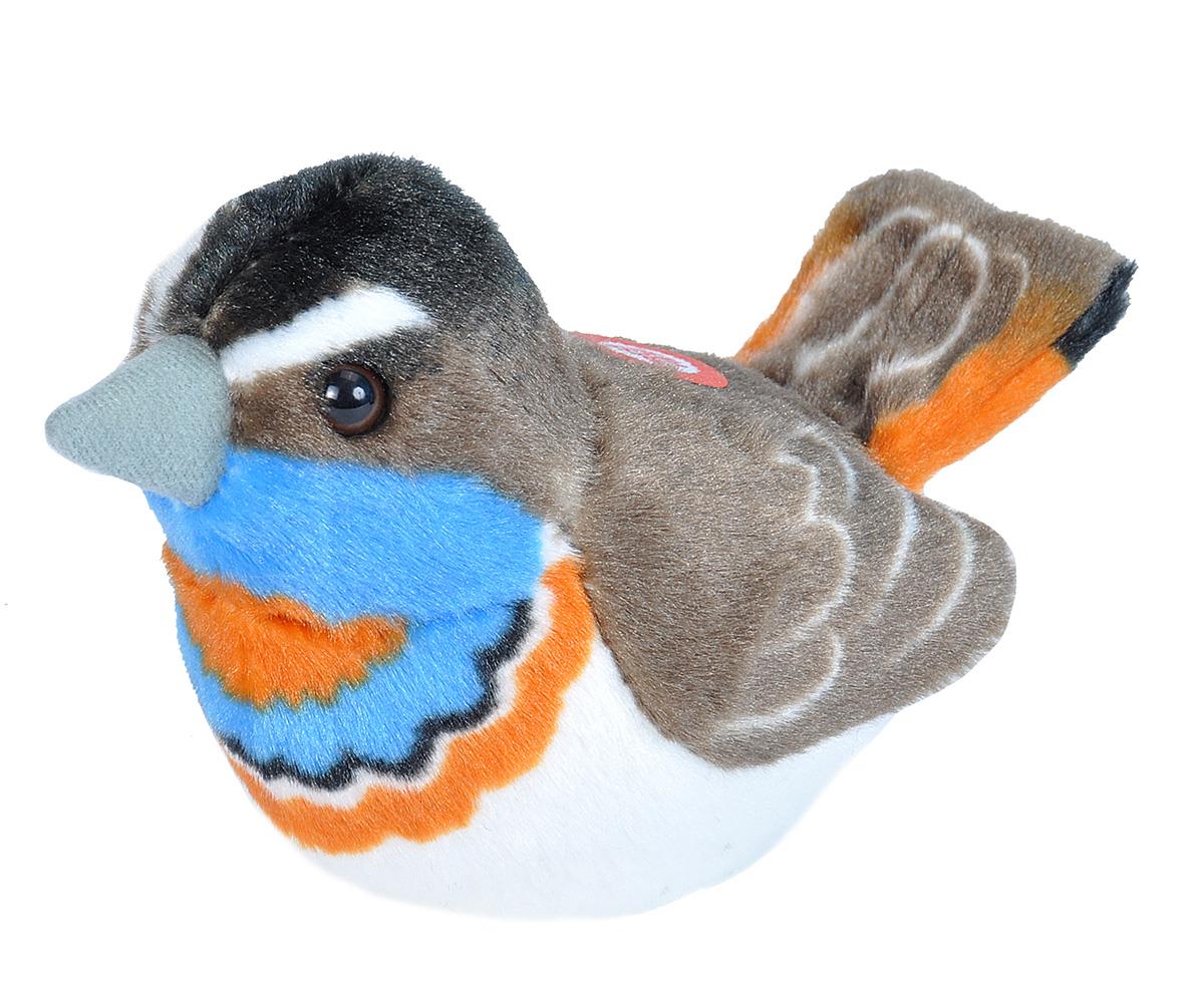 WR fugl Bluethroat