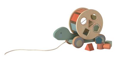 Pull along turtle