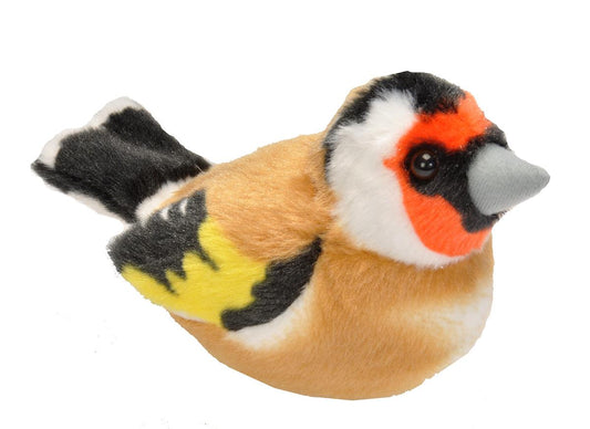 WR fugl European Goldfinch