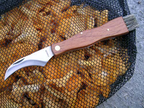 Eagle Products Sopp-Plukk Sett