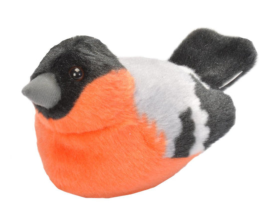 WR fugl Bullfinch