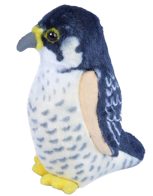 WR fugl Peregrine Falcon