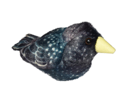 WR fugl Starling