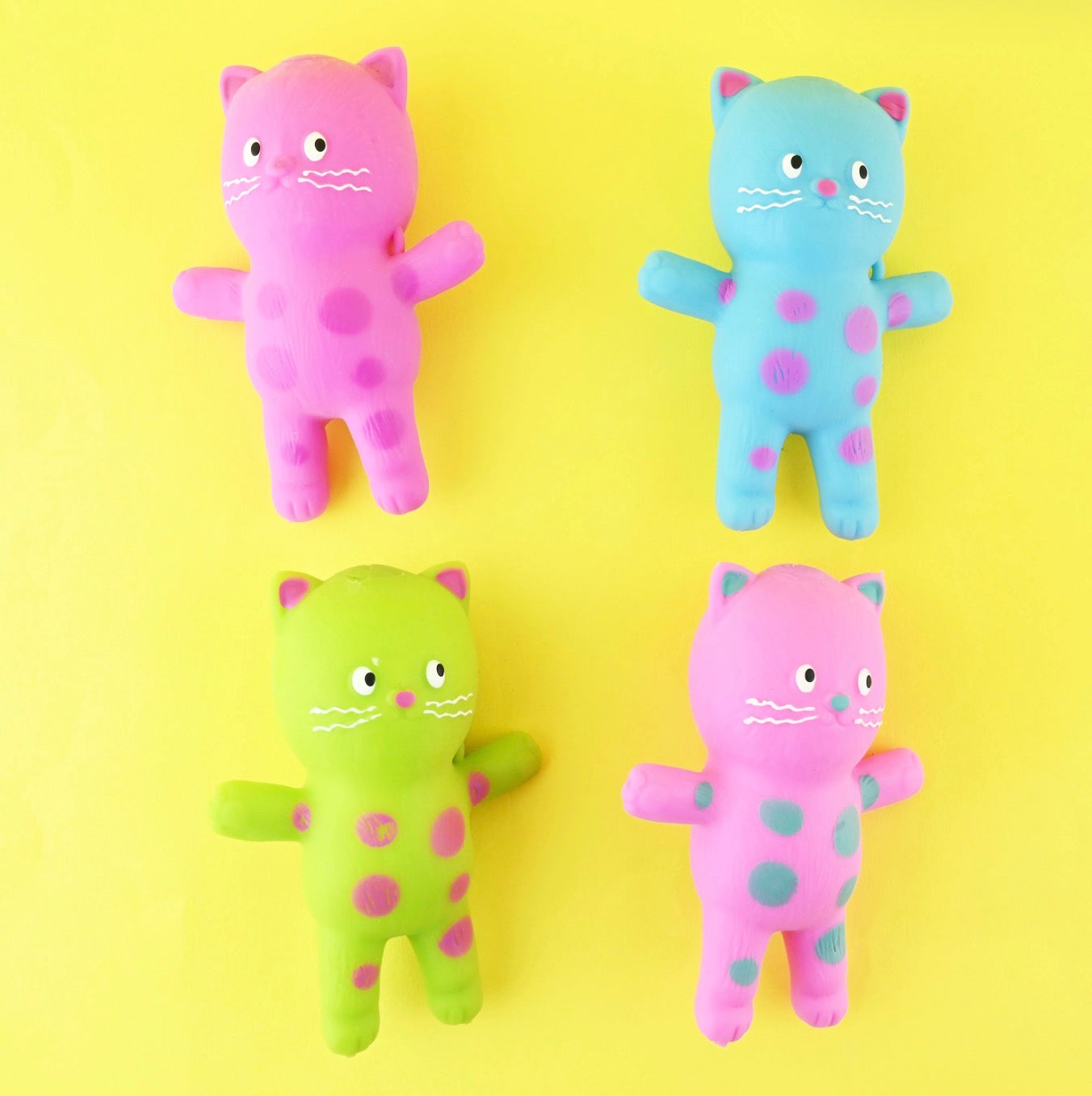 SQUEEZE CAT